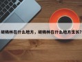 胡杨林在什么地方，胡杨林在什么地方生长？