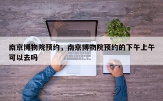 南京博物院预约，南京博物院预约的下午上午可以去吗