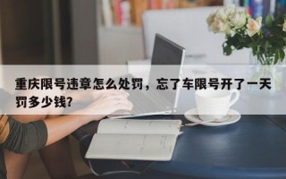 重庆限号违章怎么处罚，忘了车限号开了一天罚多少钱？