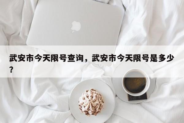 武安市今天限号查询，武安市今天限号是多少？-第1张图片-小阿居生活百科