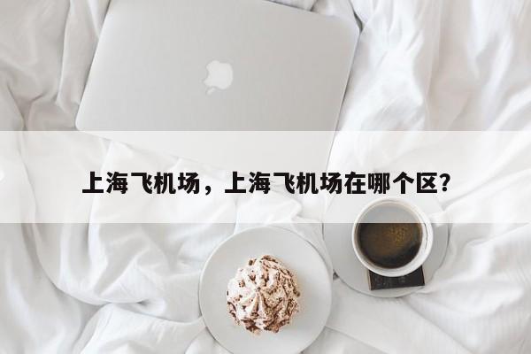 上海飞机场，上海飞机场在哪个区？-第1张图片-小阿居生活百科