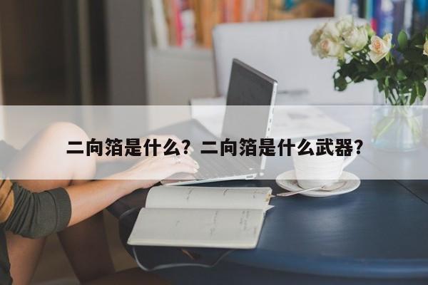 二向箔是什么？二向箔是什么武器？-第1张图片-小阿居生活百科