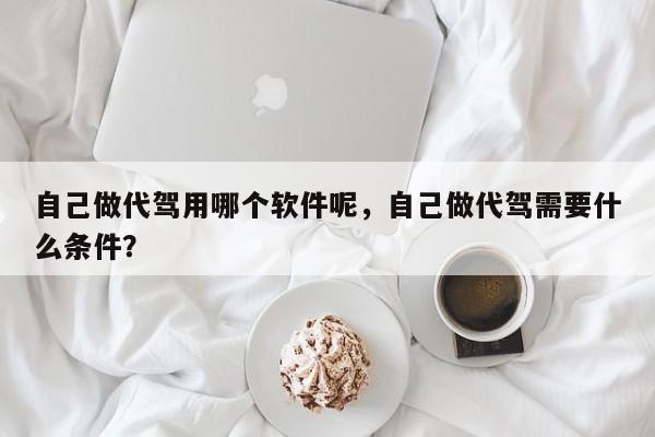 自己做代驾用哪个软件呢，自己做代驾需要什么条件？-第1张图片-小阿居生活百科